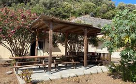 Hostel Del Viandante